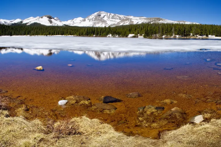 A partly frozen mountain lake with rust-colored shallows, spruce forest and a broad snow-covered peak under a clear blue sky.