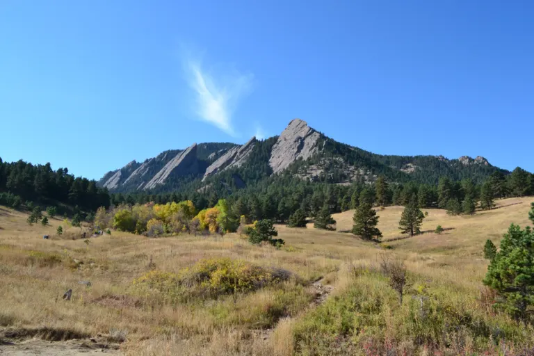 Dry golden meadow with yellow cottonwoods and scattered pines below the Flatirons under a blue sky at Chautauqua in Boulder