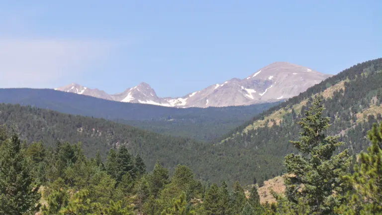 Snow-patched peaks of the Continental Divide rising beyond forested ridges, with evergreens in the foreground