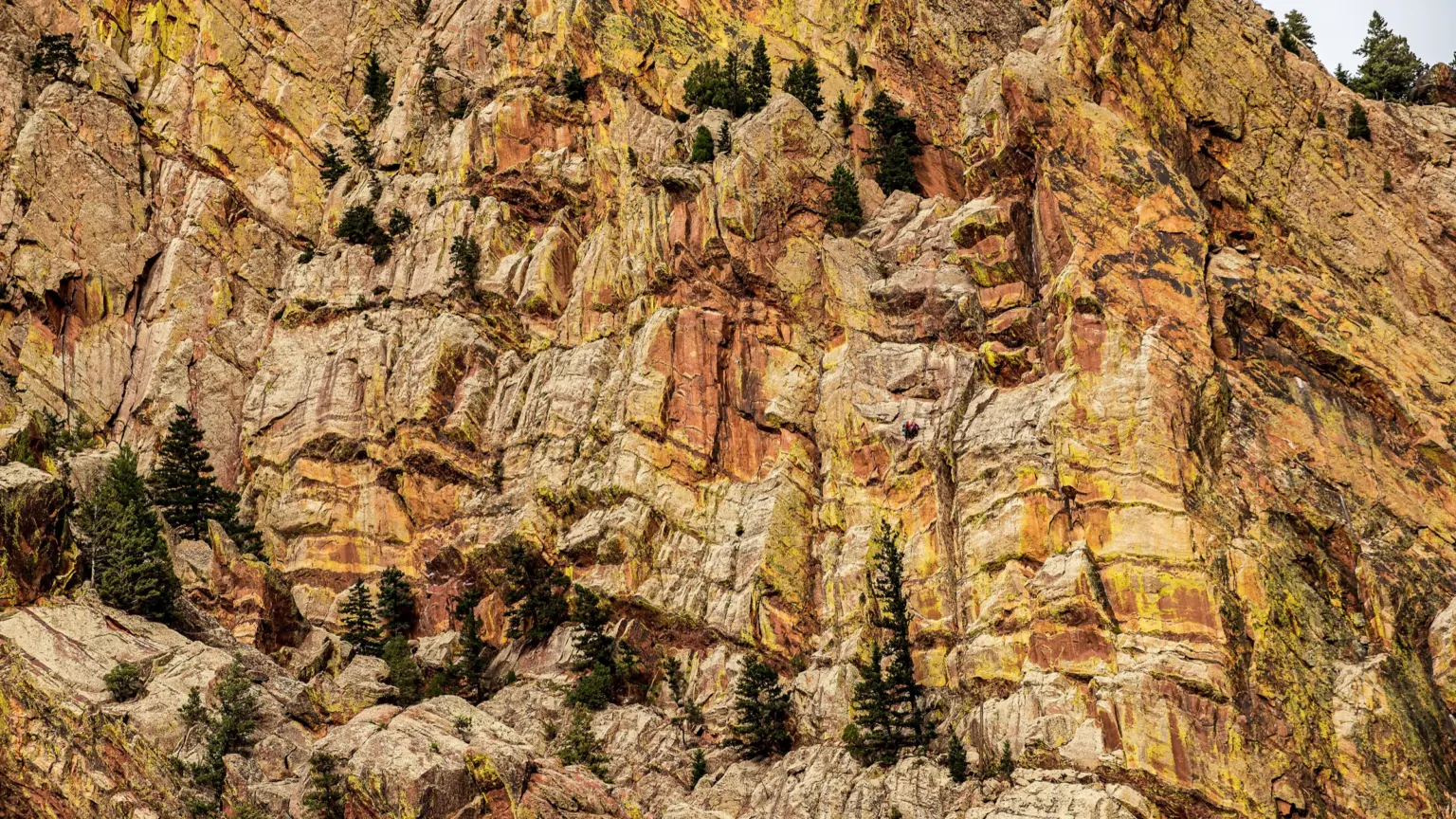 Two small climbers on a ledge partway up a sheer orange and yellow lichen-streaked sandstone wall dotted with pines.