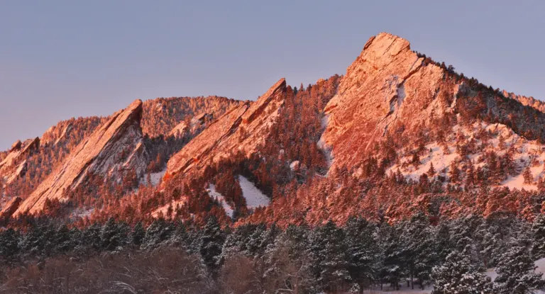 Snow-dusted Flatirons glowing orange-pink at sunrise above snow-covered pines under a pale dawn sky