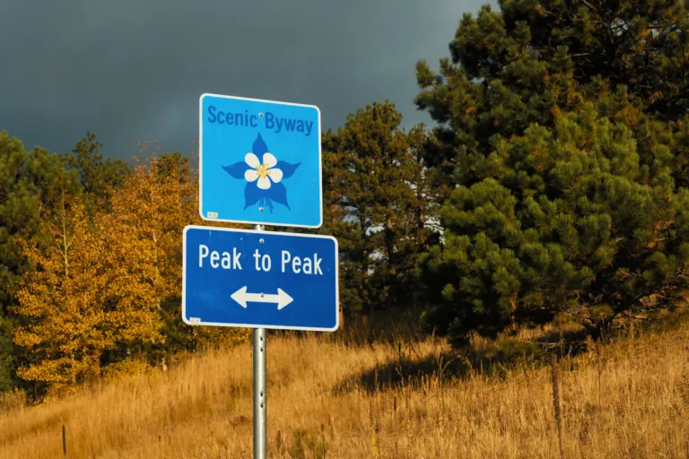 Blue Scenic Byway sign with a columbine emblem above a Peak to Peak plate, in golden grass with yellow aspens and pines under a dark sky