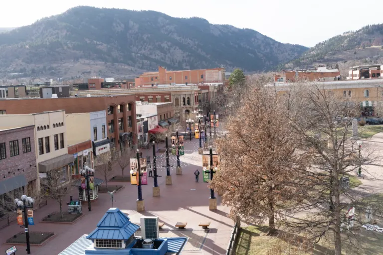 Elevated view down a brick pedestrian mall with banner poles and storefronts, a lawn with bare trees at right and forested foothills behind.