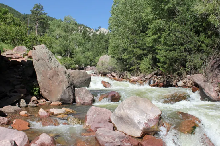 Fast white water running over large red and gray boulders in a creek lined with green trees and pines under blue sky.
