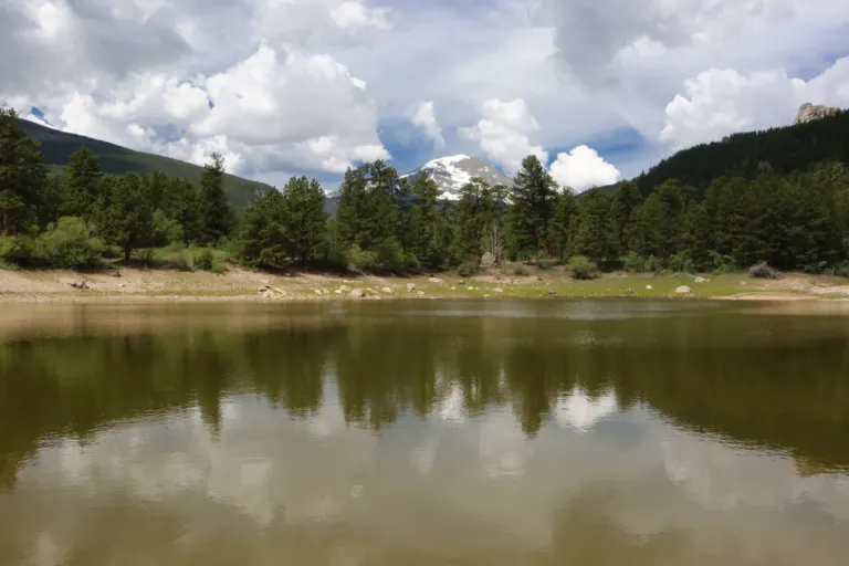 A calm mountain lake reflecting clouds and pine trees, with a snow-capped peak rising behind the forested far shore.