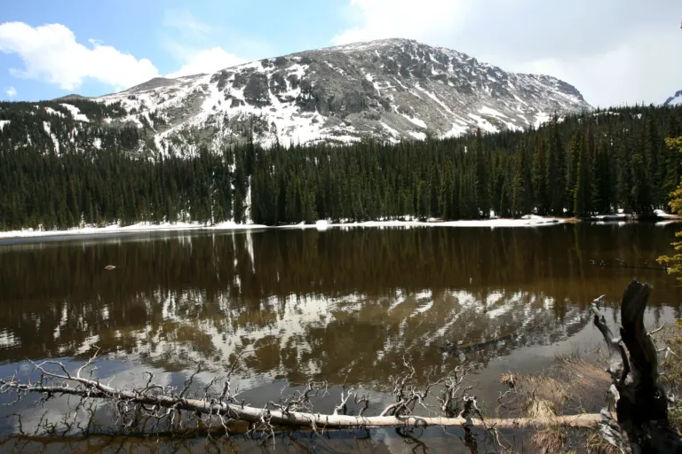 A snow-streaked mountain and dark spruce forest reflected in a still lake, with a bleached fallen tree in the foreground.