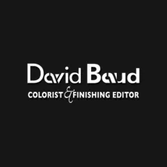David Baud logo