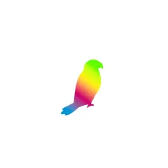 Lorikeet Creative logo